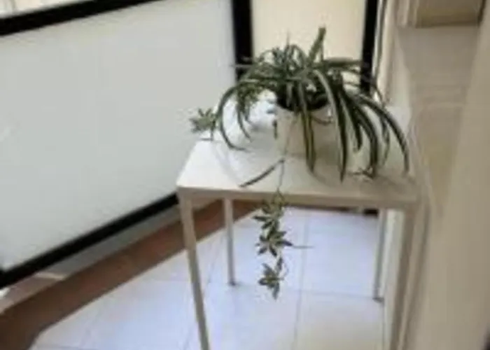 Pasaje Gondomar 11 *